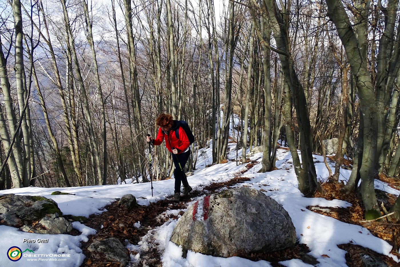 74 Nella faggeta pestiamo la neve.JPG -                                